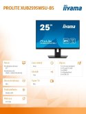 Monitor 25 cali XUB2595WSU-B5 IPS.PIVOT.16:10.USB.DP.HDMI.VGA.2x2W. 300(cd/m2).HAS(150mm)