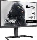 Monitor 23,8 cala GB2445HSU-B2 IPS,FHD,100Hz,1ms,2xUSB,300cd